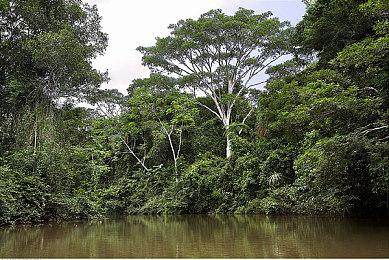 国风道士游戏《镇邪》今日正式发售 Steam首发价42元